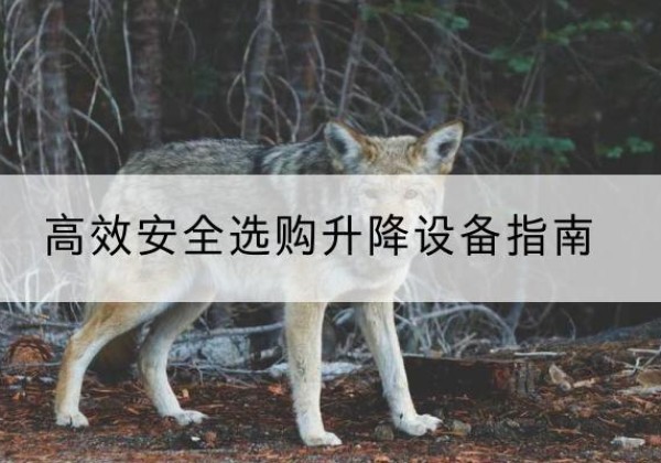 卫滨升降货梯厂家推荐-*安全选购升降设备指南