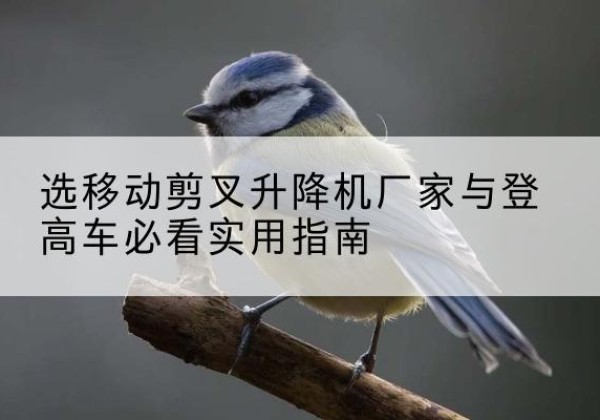 卫滨电动升降机厂家-选移动剪叉升降机厂家与登高车必看实用指南
