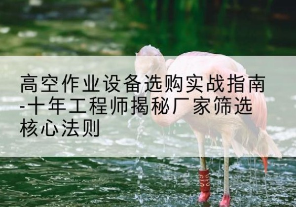 卫滨剪叉式升降机厂家-高空作业设备选购实战指南-十年工程师揭秘厂家筛选核心法则